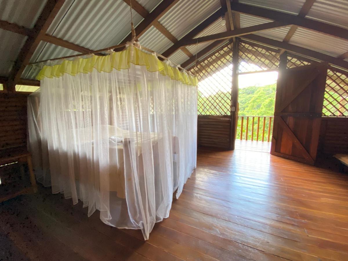 Eco Guest House - Sarapiqui 1 المظهر الخارجي الصورة